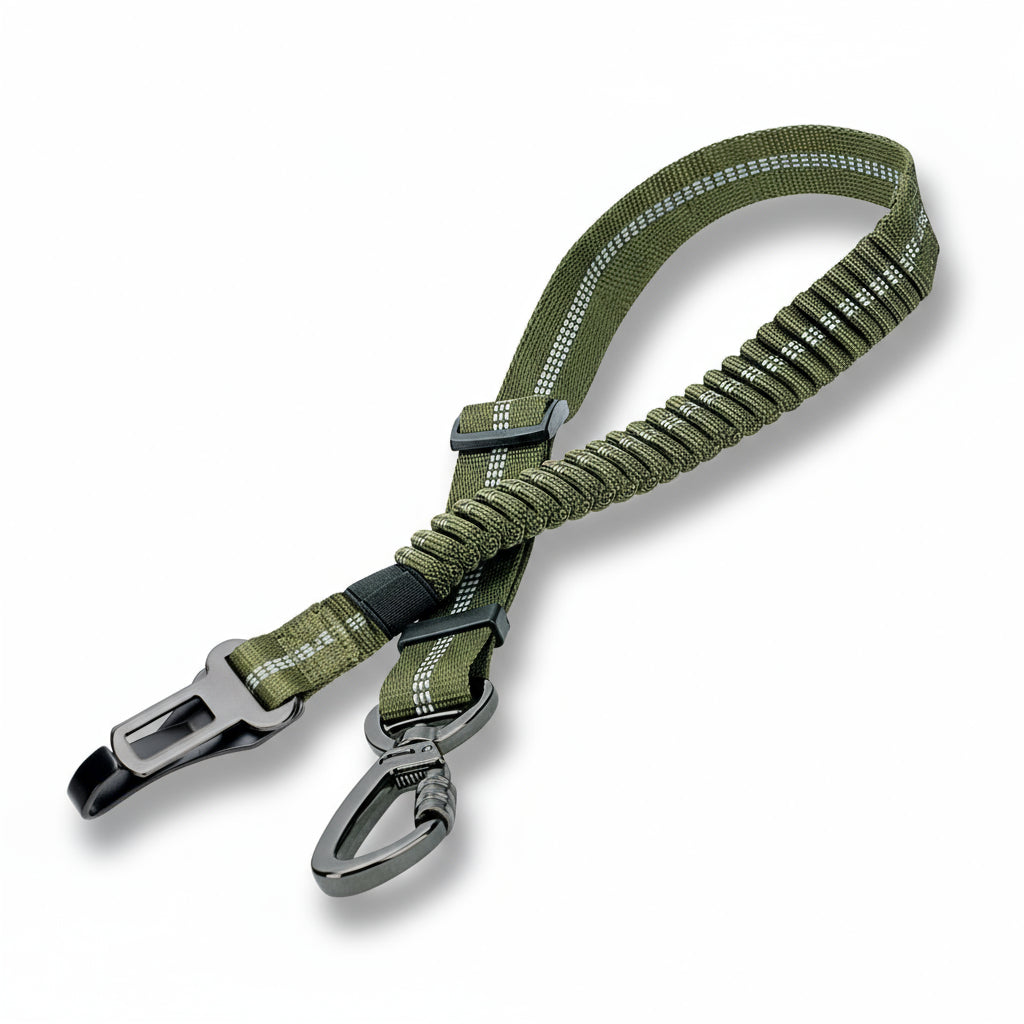 Säkerhetsbälte hund