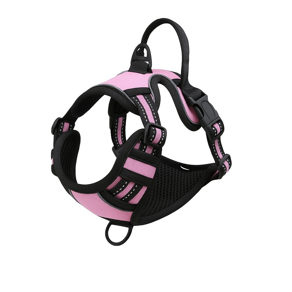 Basic Hundsele – Justerbar, Reflekterande & Bekväm