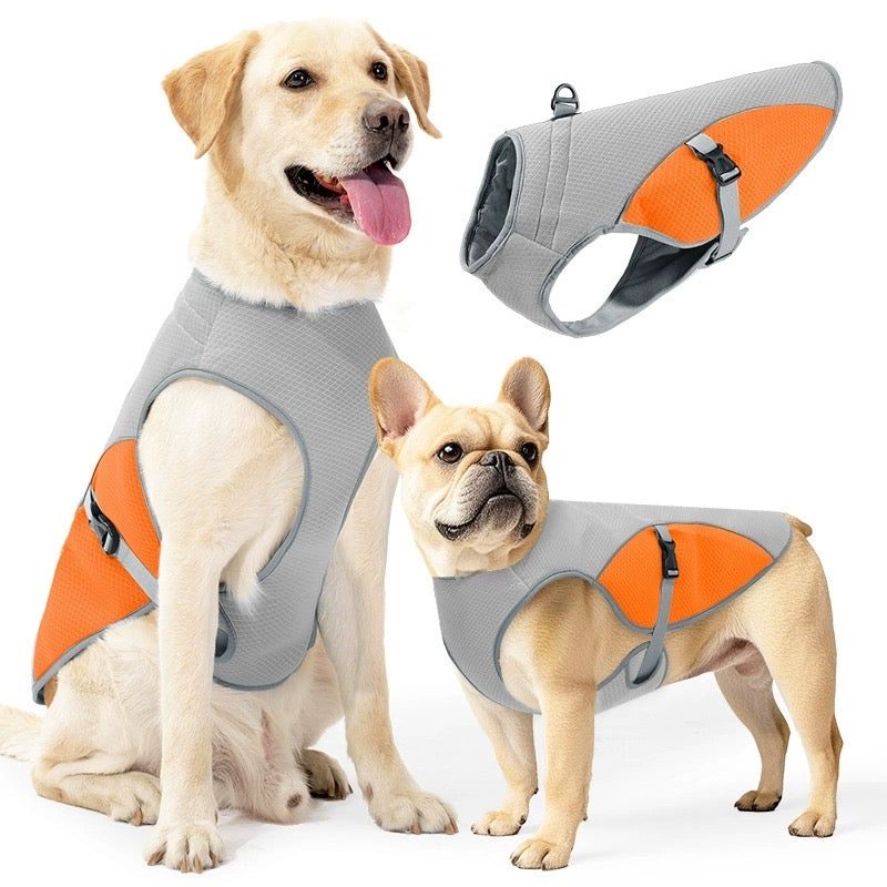 Hundkläder