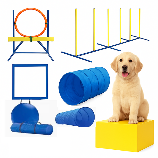 Agility Hinderbana för Hund – Träningsset för Utomhuslek & Aktiv Hundträning