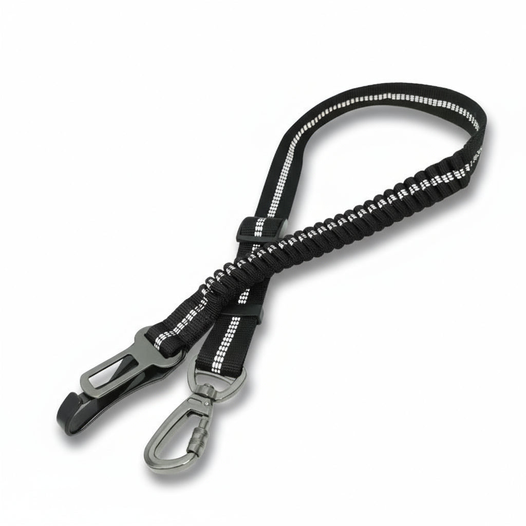 Säkerhetsbälte hund