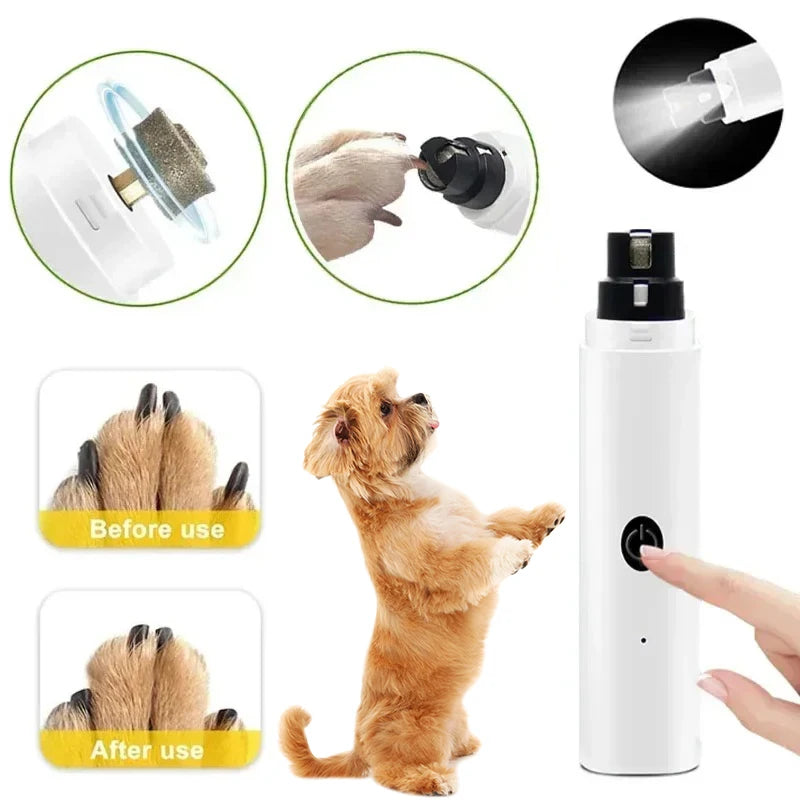 Kloslip hund - för Hund & Katt - USB-laddad med LED-ljus
