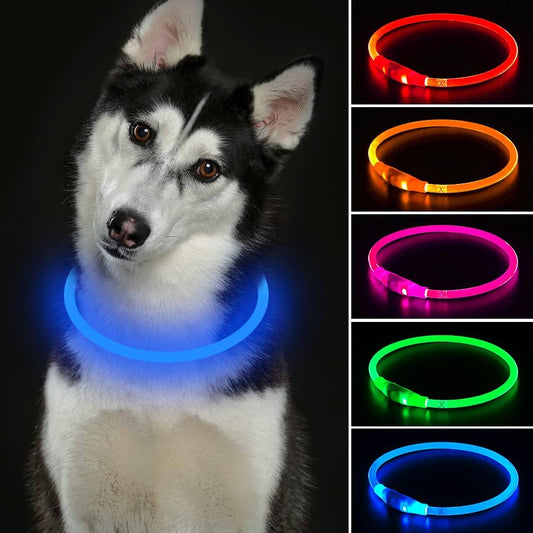 Halsband LED Hund - Blinkande Hundhalsband