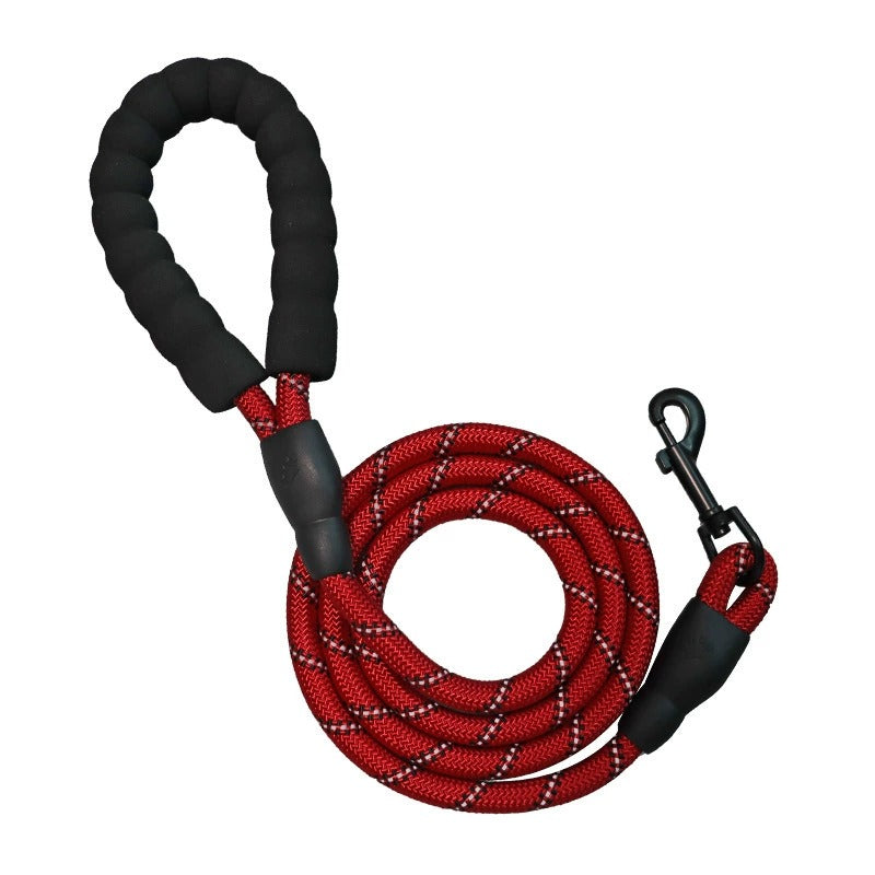 Basic Hundkoppel - Komfort, säkerhet och hållbarhet