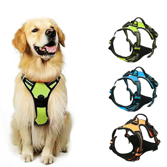 Basic Hundsele – Justerbar, Reflekterande & Bekväm