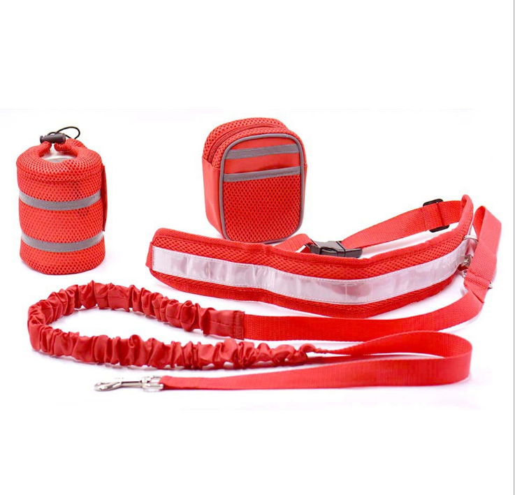Outlet - Midjebälte hund