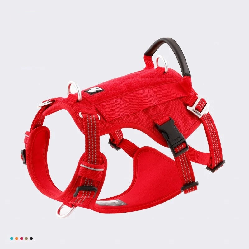 Hundsele – Control | Rymningssäker Anti-Drag Dubbel H-Sele
