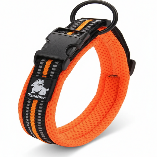 Hundhalsband Premium - Reflekterande med Komfort & Säkerhet